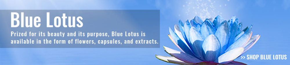 slide - blue lotus
