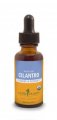 Cilantro Liquid Extract (Herb Pharm)