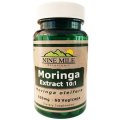 Moringa 10:1 Extract Capsules (Nine Mile Botanicals)