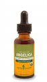 Angelica Root Liquid Extract (Herb Pharm)