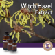 Witch Hazel Extract - 4oz (Apothecary Shoppe)