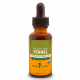 Fennel Tincture - 30ml (Herb Pharm)