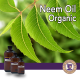 Organic Neem Oil - 2oz (Apothecary Shoppe)