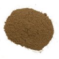 Calea zacatechichi (Calea ternifolia) - Dream Herb Powder