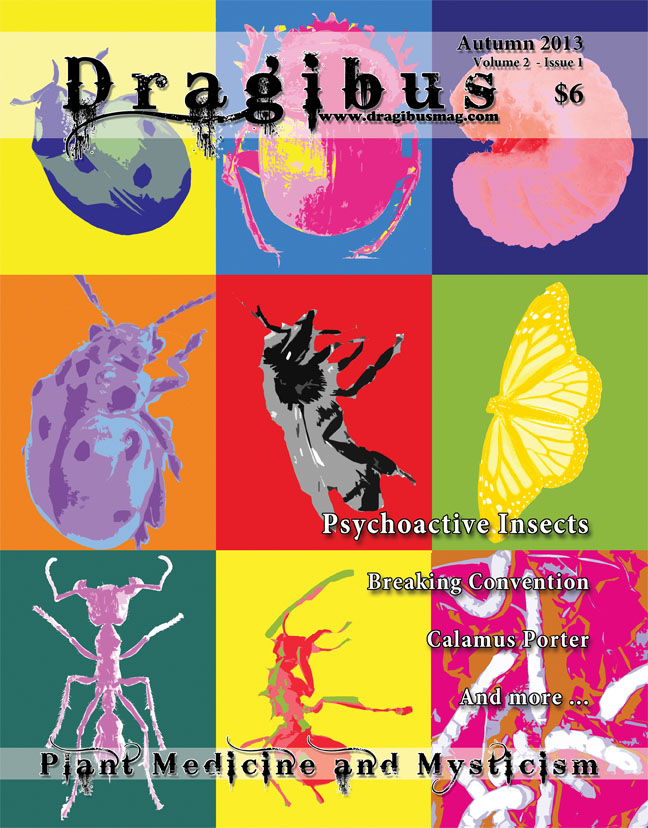 Dragibus Magazine - Autumn 2013