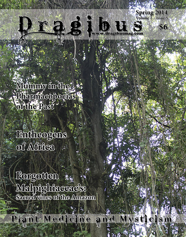 Dragibus Magazine - Spring 2014