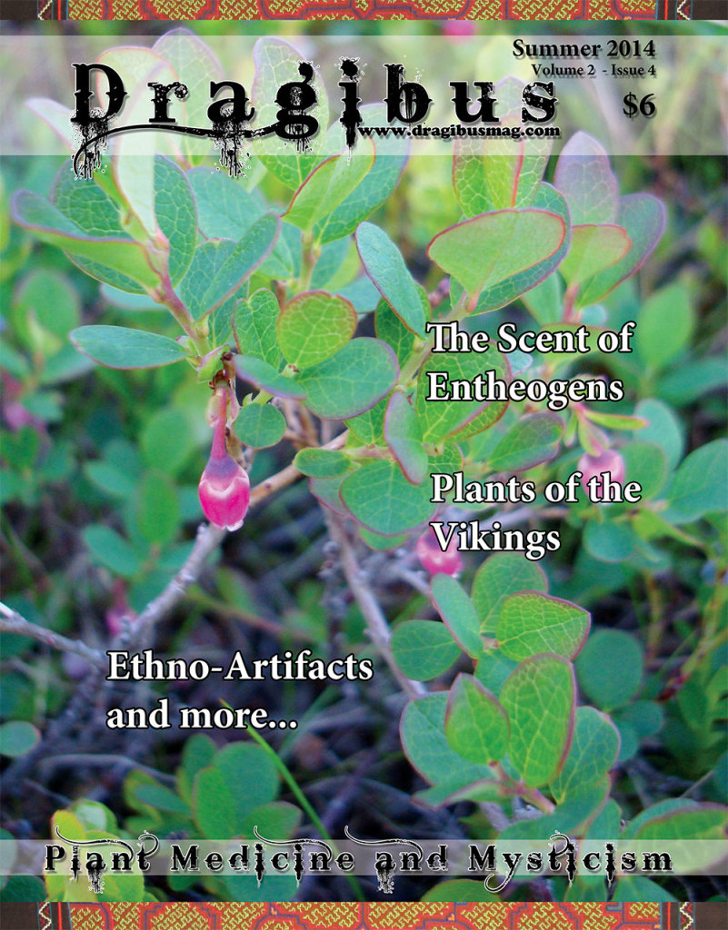 Dragibus Magazine - Summer 2014