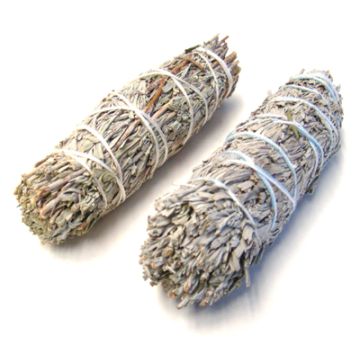 Blue Sage Smudge Stick 4"