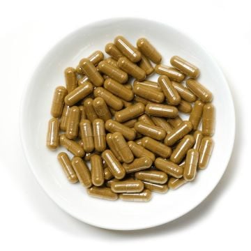 Gold Elite Kratom Tea Capsules