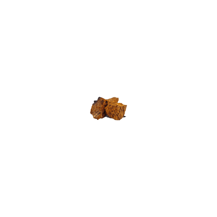 Inonotus obliquus - Chaga Whole Mushroom
