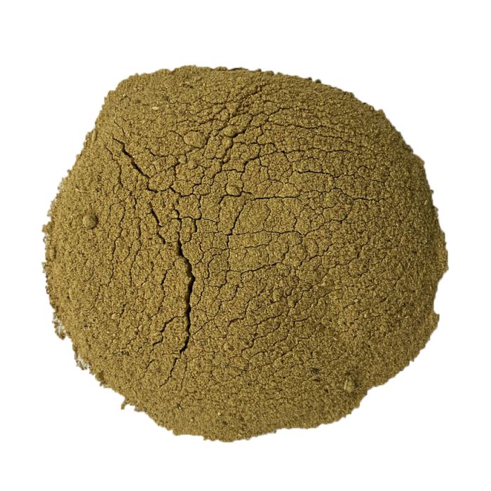Grifola frondosa - Maitake Pure Mycelium Mushroom Powder