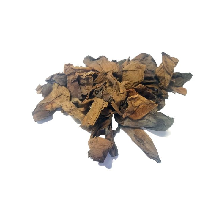 Nelumbo nucifera (Sacred) Blue Lotus Flower Petals