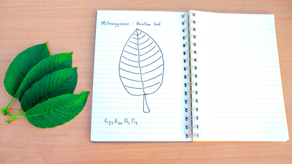 kratom leaf notebook