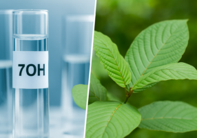 A photo showing a Kratom plant next to a lab vial.