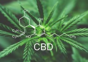 Cbd,Macro,A,Cannabis,Flower,And,Marijuana,Macro